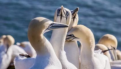 ky体育-英雄联盟 新版本平衡性调整，英雄联盟平衡机制